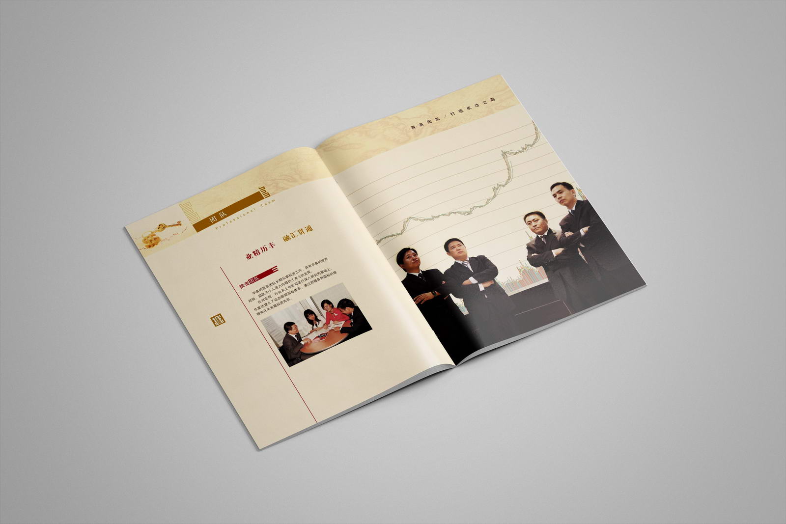 長沙金融畫冊設計